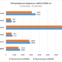 Статистика запросов сайта Zolka.ru