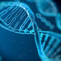 Кодзоковы и ДНК