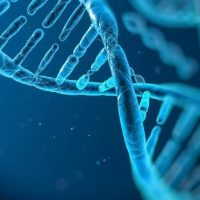 Есанкуловы и ДНК